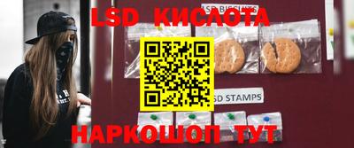 mdpv Краснознаменск