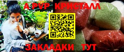 mdpv Краснознаменск