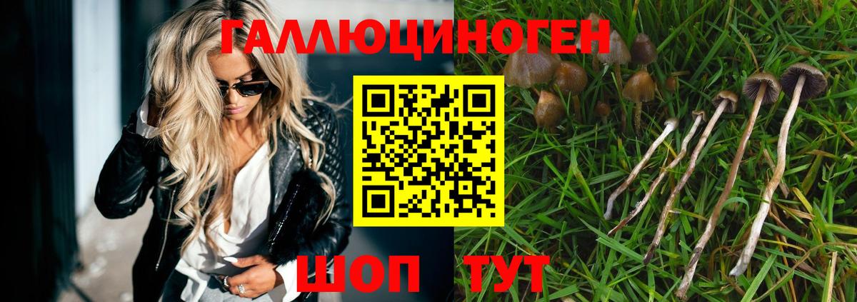 Галлюциногенные грибы мицелий  Вход с VPN  Галлюциногенные грибы Magic Shrooms  Иваново 